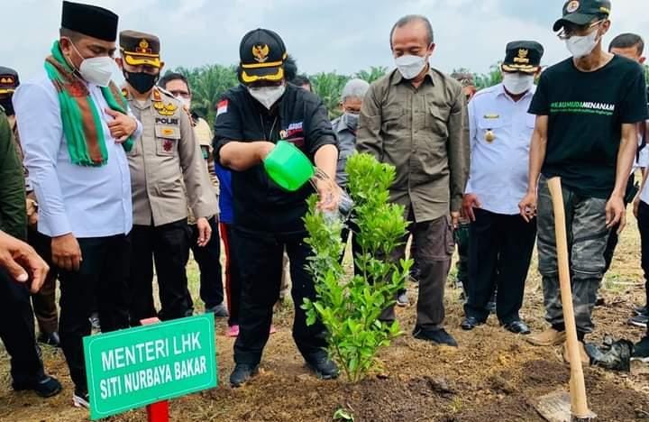 Sibuk Tanam Jeruk di Pelalawan, Menteri LHK Siti Nurbaya Didesak Usut Tuntas Pencemaran Limbah Pabrik Sawit PT SIPP di Bengkalis