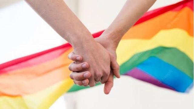 Gerakan Promosi LGBT, MUI: Melanggar Nilai Agama dan Hukum!