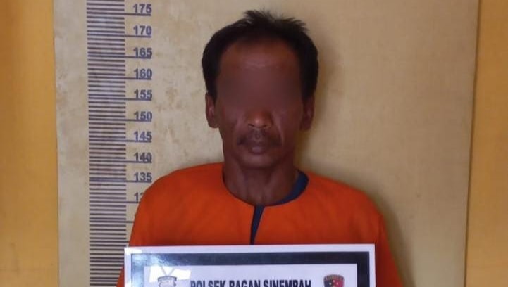 Mertua di Rohil Perkosa Menantunya Sendiri, Ancam Korban Kemudian Lari ke Aceh