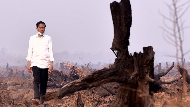 Presiden Jokowi Lepas dari Vonis Perbuatan Melawan Hukum, MA Kabulkan Peninjauan Kembali Kasus Kebakaran Hutan