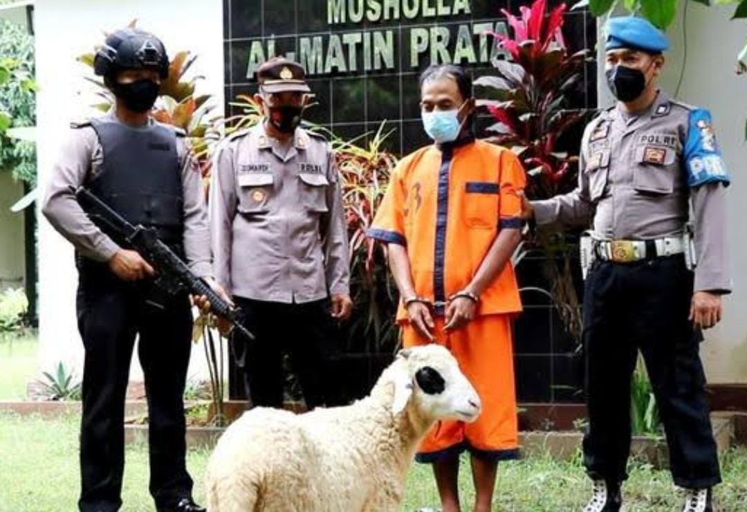 Waduh! PNS Ini Kepergok Curi Kambing Warga, Kurang Gaji?