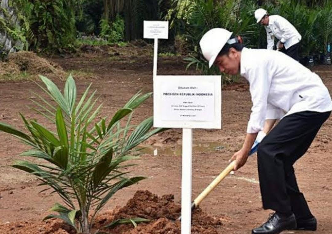 Ini Daftar Lengkap Pejabat dan Tugas Pokok Satgas Kelapa Sawit yang Baru Dibentuk Jokowi