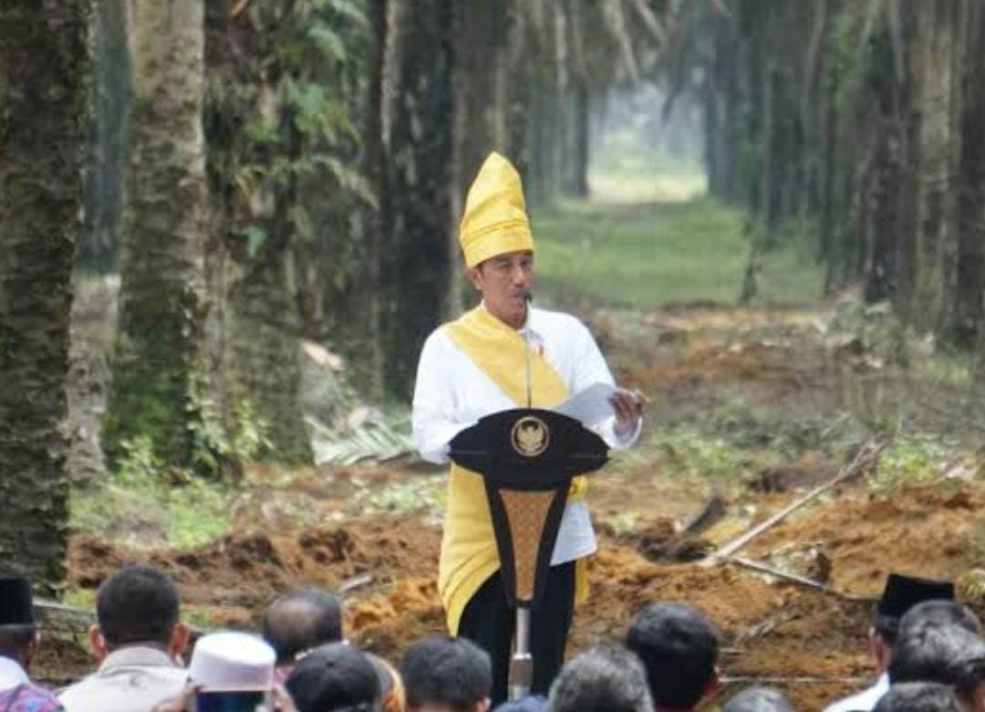 Uni Eropa Tolak Produk Sawit Indonesia dari Penghancuran Hutan, Presiden Jokowi Protes