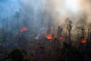 69 Titik Panas Terpantau, Hotspot Riau Masih Terbilang Tinggi