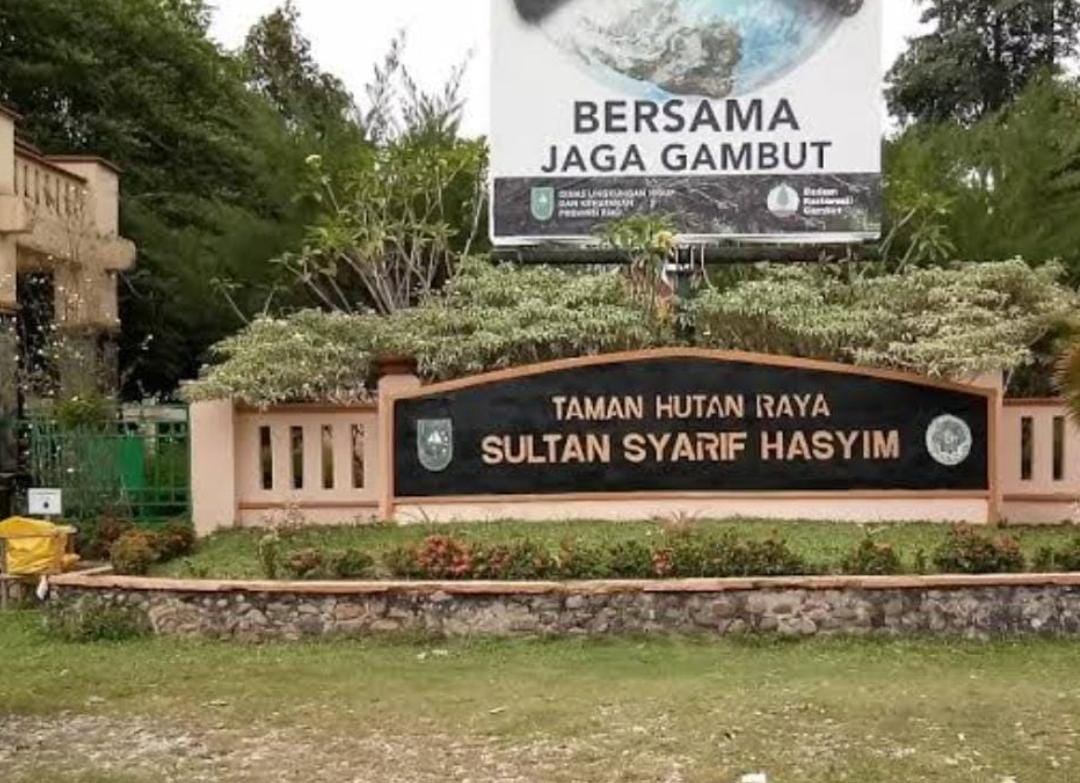 Yayasan Riau Madani Menangkan Gugatan Atas Kebun Sawit Ilegal di Tahura Minas Riau, Kesekian Kalinya UU Cipta Kerja Sektor Kehutanan Dikesampingkan
