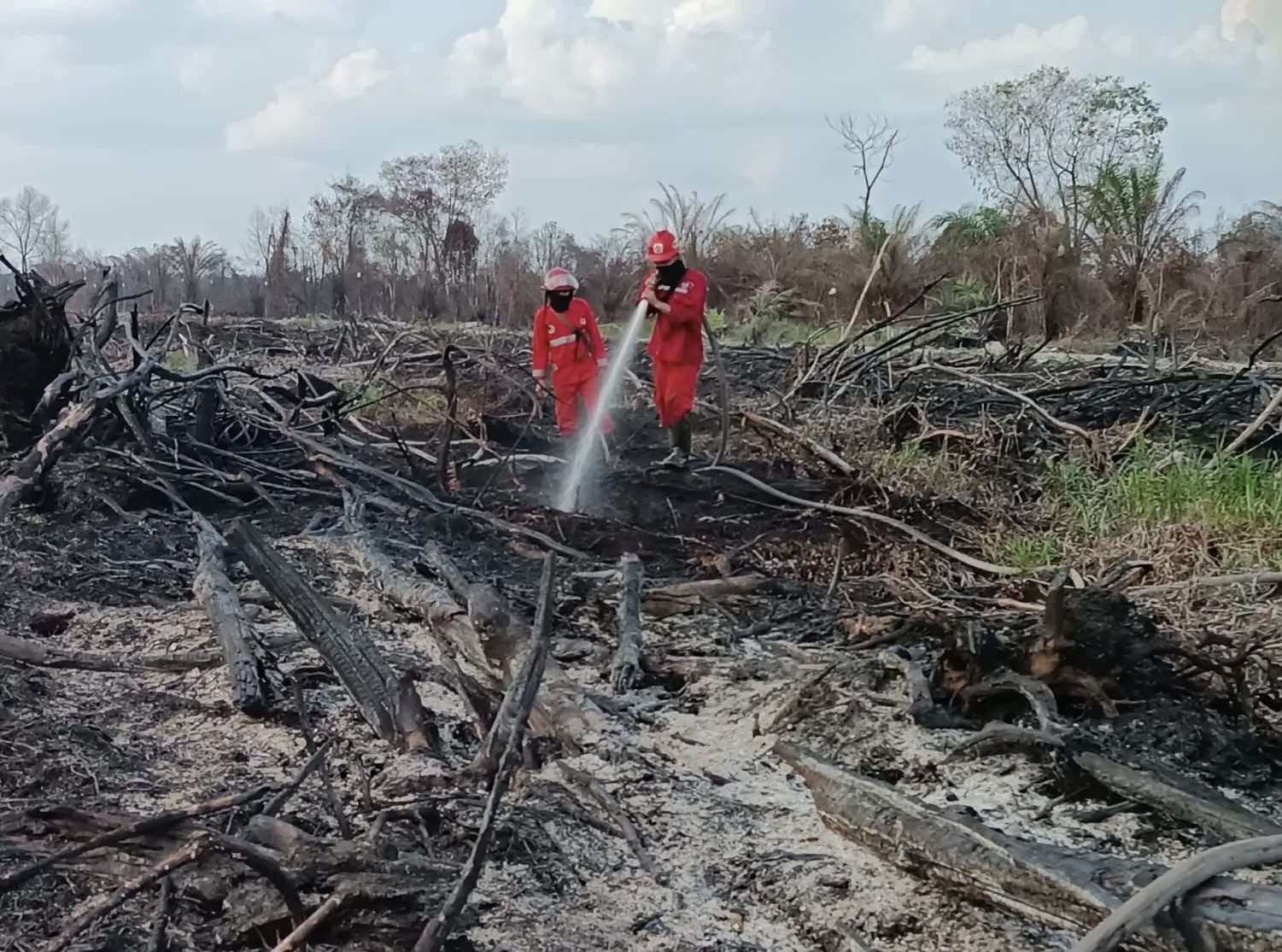 Terpantau Melalui Patroli Udara, Manggala Agni Padamkan Karhutla Seluas 2 Hektare di Kampar