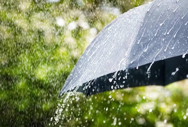 Tetap Waspada! Hujan Lebat Masih Akan Mengguyur Sebagian Wilayah di Riau Hari Ini